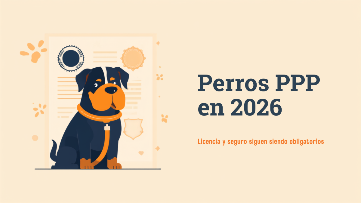 Perros PPP en 2026: la licencia y el seguro siguen siendo obligatorios (qué exige la ley hoy y qué cambiará — cuando cambie)