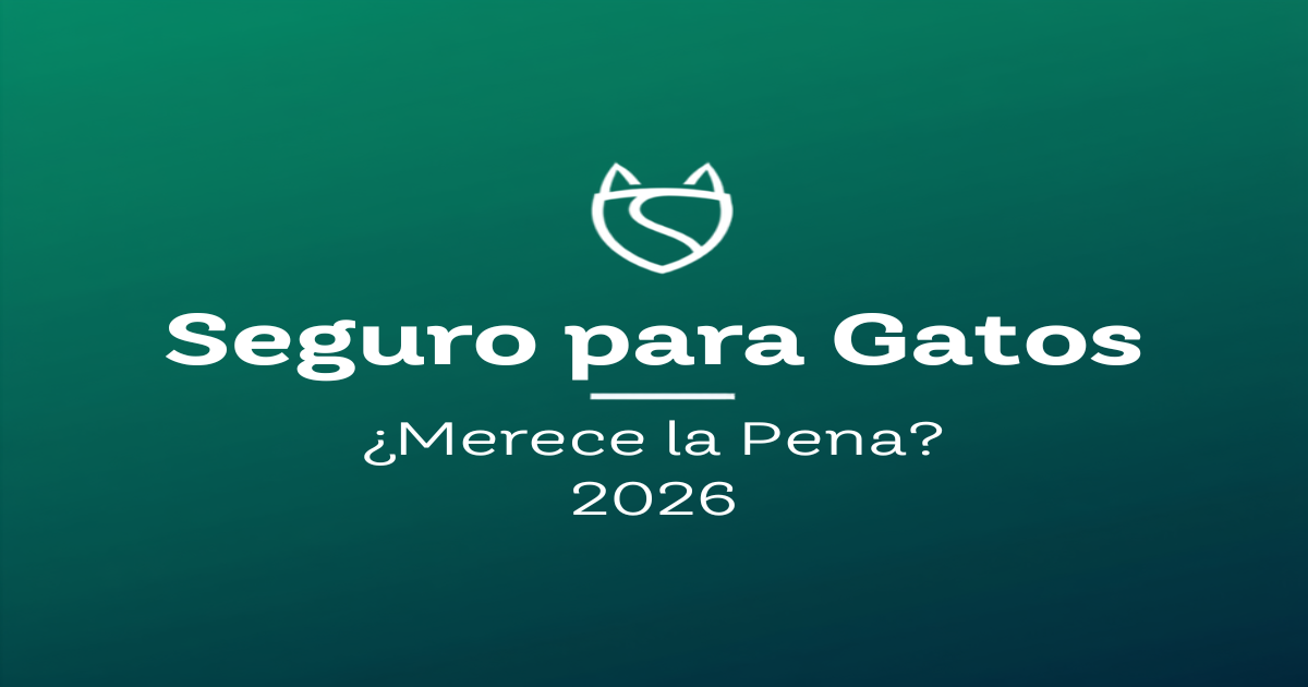 Seguro para Gatos: ¿Merece la Pena? Coberturas, Precios y Errores Habituales